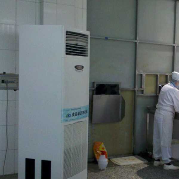 琼中食品正负离子空气杀菌器